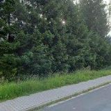 RESTAURACE A PENZION BORNEO