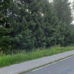 obrazek: avatar RESTAURACE A PENZION BORNEO