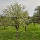 ZŠ A MŠ Bolehošť