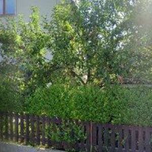 obrazek: avatar BONATO HOTEL