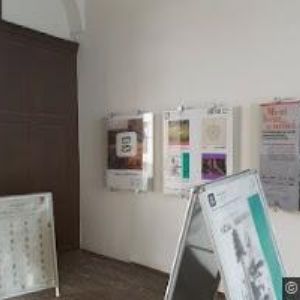 obrazek: avatar ZÁMEK RYCHNOV NAD KNĚŽNOU