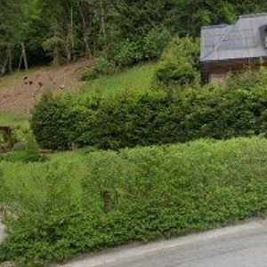 obrazek: avatar PRIVÁT FEDORIŠKA