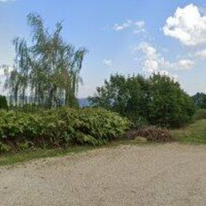 obrazek: avatar BRADA PENZION