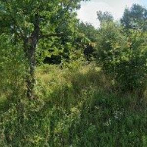 obrazek: avatar PENSION SIESTA