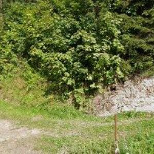 obrazek: avatar HOTEL ORLÍK