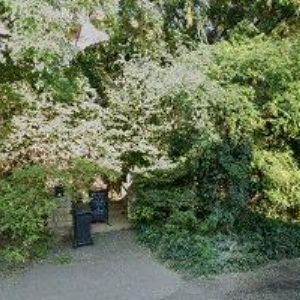 obrazek: avatar RESTAURACE U ZLATÉ BRÁNY