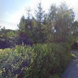 APARTMÁNY POD VLEKEM