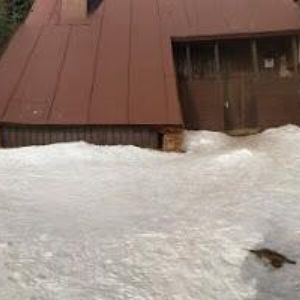 obrazek: avatar CHATA PETRÁŠKA