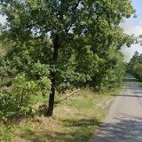 CHATOVÝ TÁBOR JINOLICE