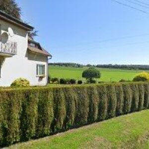 obrazek: avatar DUBIŠAR VLADISLAV