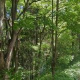 RODINNÝ PENZION MÍŠA