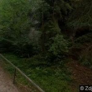 obrazek: avatar LESNÍ ZÁTIŠÍ HOTEL RESTAURACE