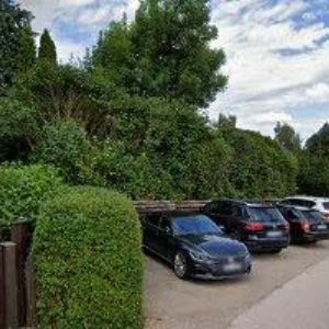 obrazek: avatar RINGEL MILAN