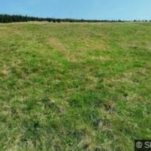 obrazek: avatar BOUDA KLÍNOVKA