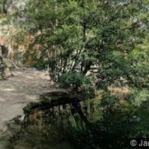 obrazek: avatar HOTEL JAVOR