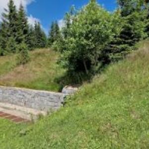 obrazek: avatar FRIESOVY BOUDY