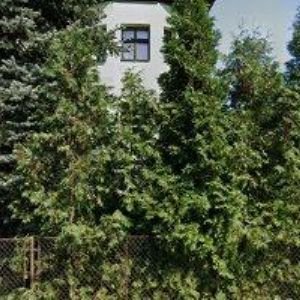 obrazek: avatar IMPS