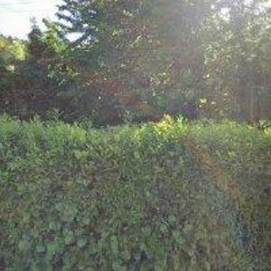 obrazek: avatar PRIVAT MARIE