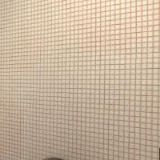 KOZÍ PLÁCEK 127-ZELENÝ RESTAURANT-CAFÉ-BAR