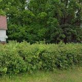 QUEEN'S PARK GOLF CLUB MYŠTĚVES