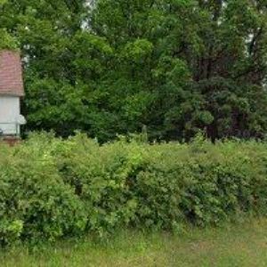 obrazek: avatar QUEEN'S PARK GOLF CLUB MYŠTĚVES