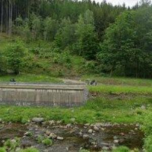 obrazek: avatar PENSION 444