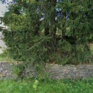 obrazek: avatar CHATA KAROSA