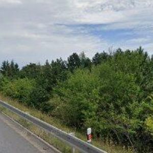 obrazek: avatar PENZION RESTAURACE TROPICAL