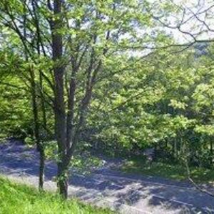 obrazek: avatar VARTA CHATA