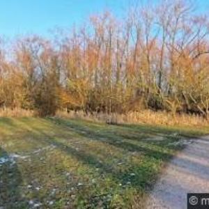 obrazek: avatar CAMP VEJSPLACHY