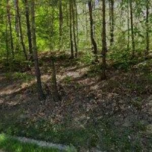 obrazek: avatar REALKA , s.r.o.