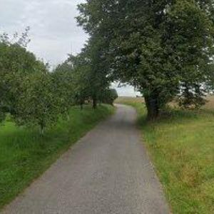 obrazek: avatar UBYTOVÁNÍ U DVOU JASANŮ