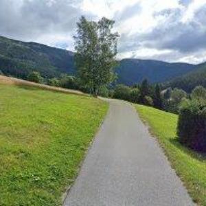 obrazek: avatar CINK VRATISLAV