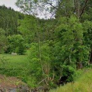 obrazek: avatar KOŠŤÁL JAROSLAV-U SNĚŽNÉHO POTOKA PENZION