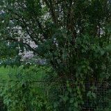 PENZION HERLÍKOVICE