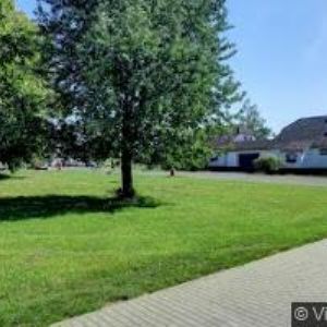 obrazek: avatar MOTOREST MILOVICE