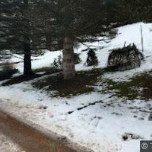 obrazek: avatar APARTMÁN 3