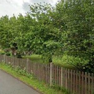 obrazek: avatar ZŠ A MŠ Vrchlabí