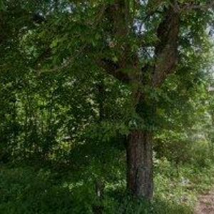 obrazek: avatar JAVOŘÍ MLÝN PENZION