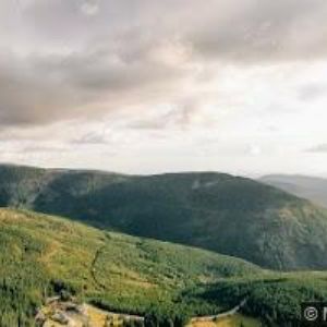 obrazek: avatar KRAUS PENSION