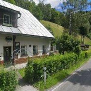 obrazek: avatar PENZION DOLNÍ DVŮR