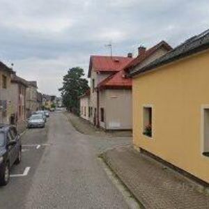 obrazek: avatar NEDVĚDOVÁ MILENA