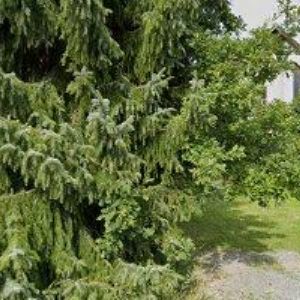 obrazek: avatar APARTMÁNY U BITTNERŮ