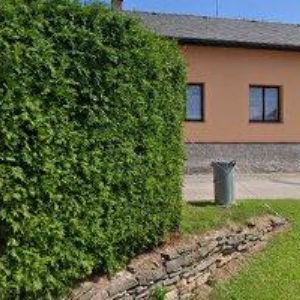 obrazek: avatar HOSPODA NA BAČCE U MARTINCŮ