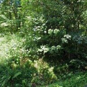 obrazek: avatar SYNEK PAVEL