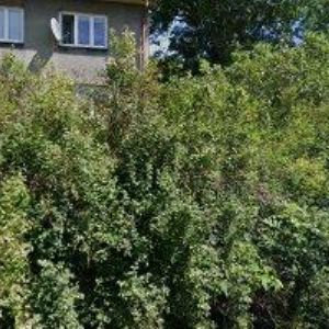 obrazek: avatar KAMENNÁ HOSPŮDKA