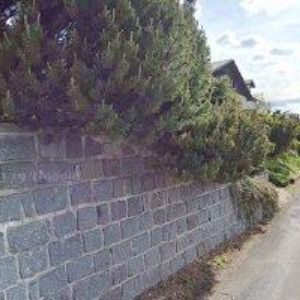 obrazek: avatar JANA PENZION