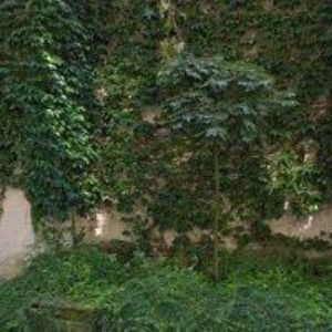 obrazek: avatar PONIKELSKÝ JIŘÍ