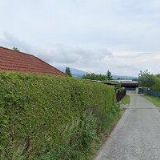 RESTAURACE U UČÍKŮ