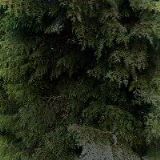 KAVÁRNA A RESTAURACE AKROPOLI